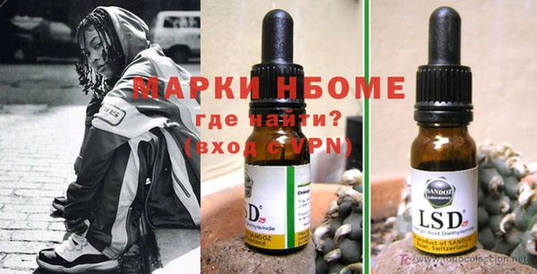мдпв Рославль