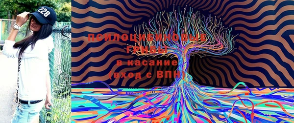 MESCALINE Волосово