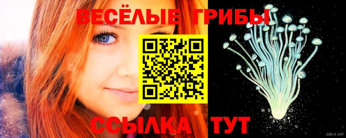 Псилоцибиновые грибы прущие грибы Старый Оскол